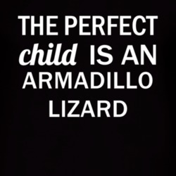 Armadillo Lizard The Perfect Child Animal T Shirt 4853890