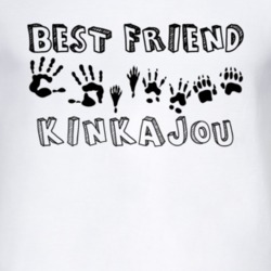 Kinkajou Best Friend Animal T Shirt 4890031