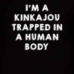 Kinkajou Trapped In A Human Body Animal T Shirt 4899116