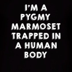 Pygmy Marmoset Trapped In A Human Body Animal T Shirt 4900769