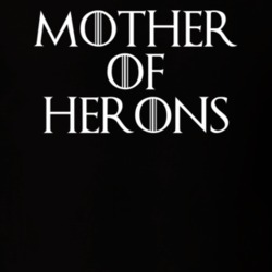Mother Of Herons Game Of Thrones T Shirt 7087019