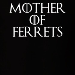 Mother Of Ferrets Game Of Thrones T Shirt 7087227