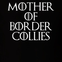 Mother Of Border Collies Game Of Thrones T Shirt 7088564