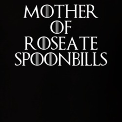 Mother Of Roseate Spoonbills Game Of Thrones T Shirt 7089252