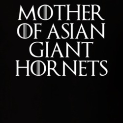 Mother Of Asian Giant Hornets Game Of Thrones T Shirt 7089300