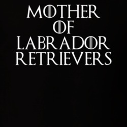 Mother Of Labrador Retrievers Game Of Thrones T Shirt 7089361