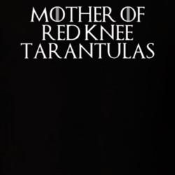Mother Of Red Knee Tarantulas Game Of Thrones T Shirt 7089392