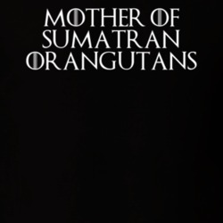 Mother Of Sumatran Orangutans Game Of Thrones T Shirt 7089408