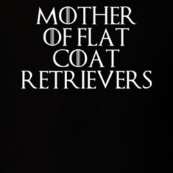 Mother Of Flat Coat Retrievers Game Of Thrones T Shirt 7089509