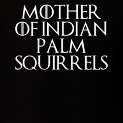 Mother Of Indian Palm Squirrels Game Of Thrones T Shirt 7089580