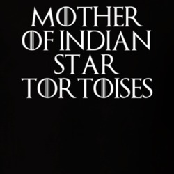 Mother Of Indian Star Tortoises Game Of Thrones T Shirt 7089586