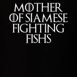 Mother Of Siamese Fighting Fishs Game Of Thrones T Shirt 7089639