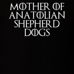Mother Of Anatolian Shepherd Dogs Game Of Thrones T Shirt 7089662