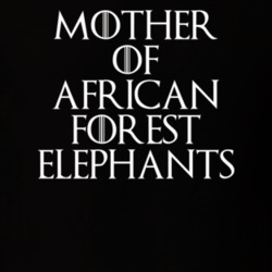 Mother Of African Forest Elephants Game Of Thrones T Shirt 7089682