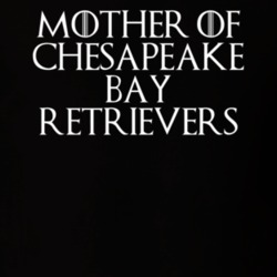 Mother Of Chesapeake Bay Retrievers Game Of Thrones T Shirt 7089717