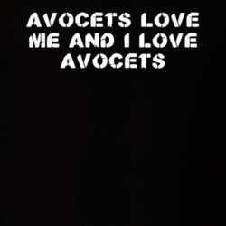 Avocets Love Me Animal Lover T Shirt 9623593