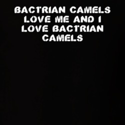 Bactrian Camels Love Me Animal Lover T Shirt 9624828