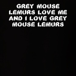 Grey Mouse Lemurs Love Me Animal Lover T Shirt 9625118