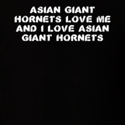 Asian Giant Hornets Love Me Animal Lover T Shirt 9625272