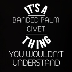 Its A Banded Palm Civet Thing Funny Pupular Zoo Animal T Shirt 9628212