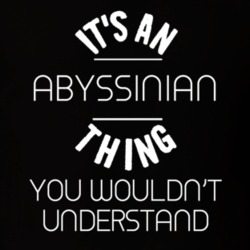 Its An Abyssinian Thing Funny Pupular Zoo Animal T Shirt 9628246