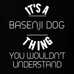 Its A Basenji Dog Thing Funny Pupular Zoo Animal T Shirt 9628247