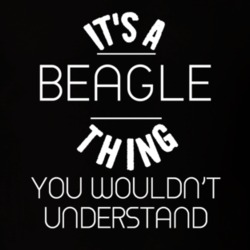 Its A Beagle Thing Funny Pupular Zoo Animal T Shirt 9628281