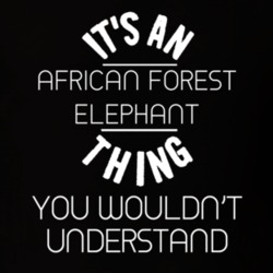 Its An African Forest Elephant Thing Funny Pupular Zoo Animal T Shirt 9628296