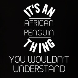 Its An African Penguin Thing Funny Pupular Zoo Animal T Shirt 9628310
