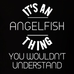 Its An Angelfish Thing Funny Pupular Zoo Animal T Shirt 9628444