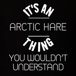 Its An Arctic Hare Thing Funny Pupular Zoo Animal T Shirt 9628485