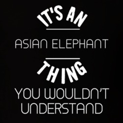 Its An Asian Elephant Thing Funny Pupular Zoo Animal T Shirt 9628503