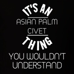 Its An Asian Palm Civet Thing Funny Pupular Zoo Animal T Shirt 9628522