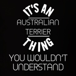 Its An Australian Terrier Thing Funny Pupular Zoo Animal T Shirt 9628566