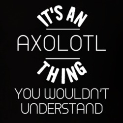 Its An Axolotl Thing Funny Pupular Zoo Animal T Shirt 9628577