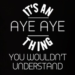 Its An Aye Aye Thing Funny Pupular Zoo Animal T Shirt 9628585